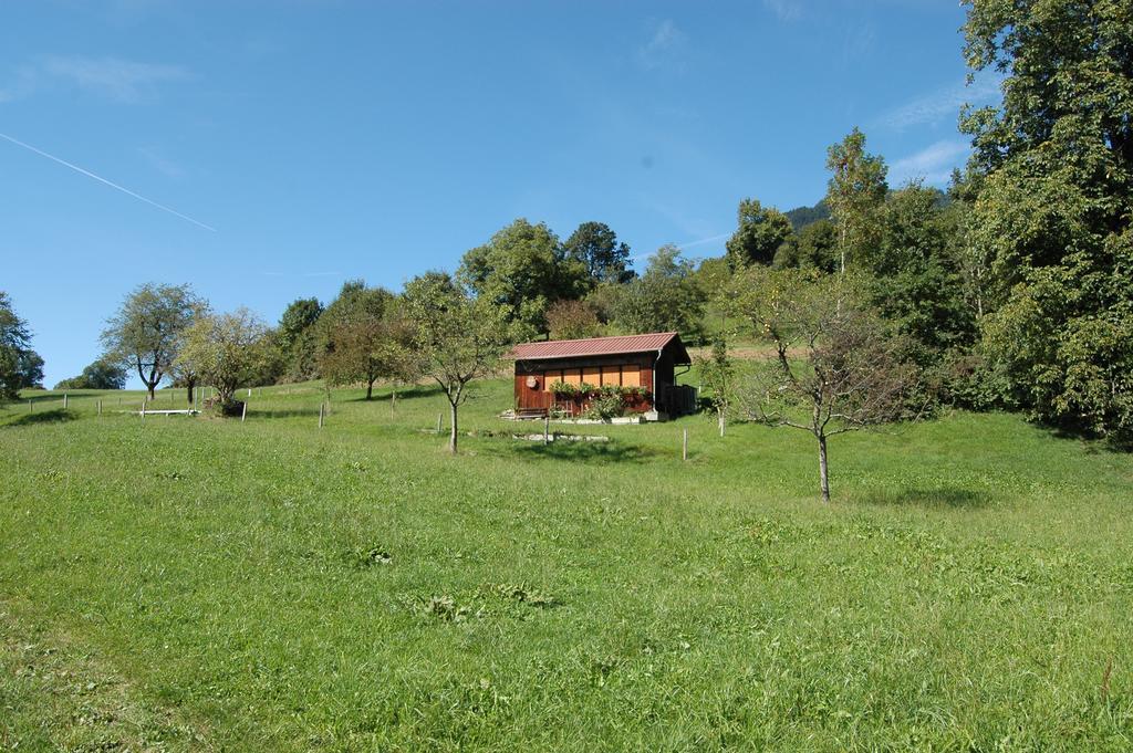 Altes Schulhaus Daire Argenbuhl Dış mekan fotoğraf